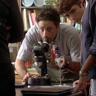 The Faculty wallpaper