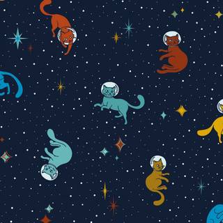 Cosmic cat wallpaper