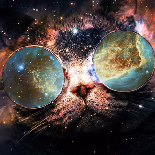 Cosmic cat wallpaper