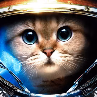 Cosmic cat wallpaper