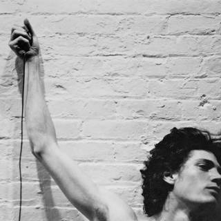 Robert Mapplethorpe wallpaper