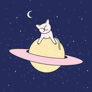 Cosmic cat wallpaper