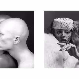 Robert Mapplethorpe wallpaper