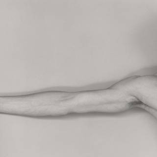 Robert Mapplethorpe wallpaper