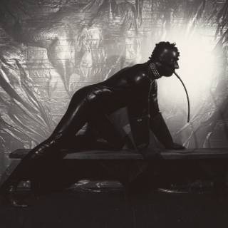 Robert Mapplethorpe wallpaper