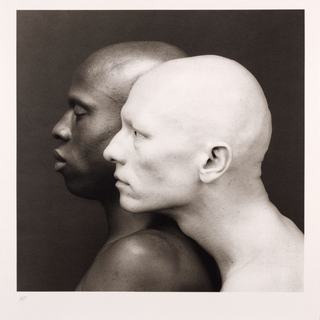 Robert Mapplethorpe wallpaper