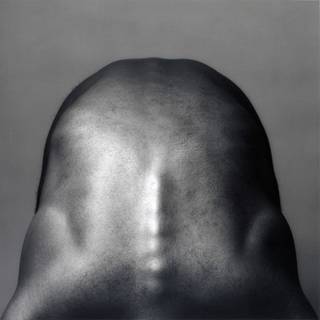 Robert Mapplethorpe wallpaper