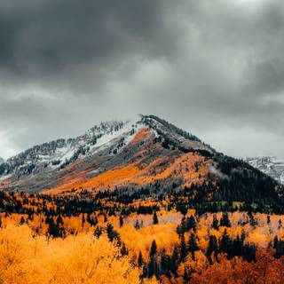 Autumn mountain HD wallpaper