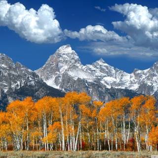 Autumn mountain HD wallpaper