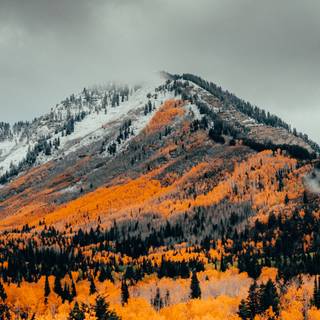 Autumn mountain HD wallpaper