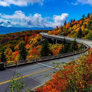 Autumn season road wallpaper