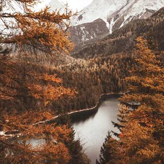 Autumn mountain HD wallpaper