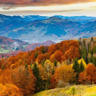 Autumn mountain HD wallpaper