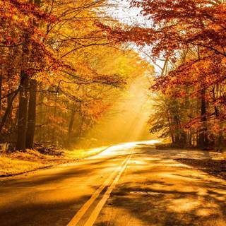 Autumn season 4k wallpaper