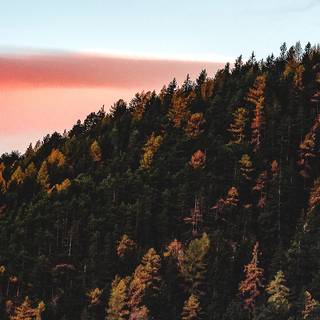 Autumn mountain HD wallpaper