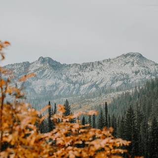 Autumn mountain HD wallpaper