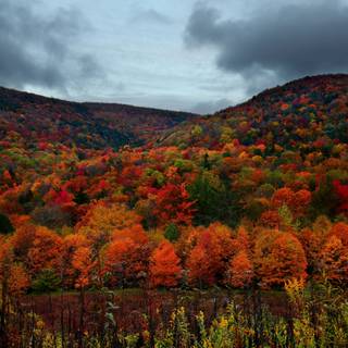 Autumn mountain HD wallpaper