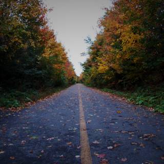 Autumn season road wallpaper