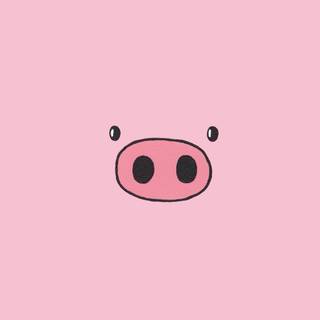 Pigs 4k wallpaper