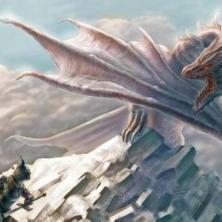 White dragon 4k wallpaper