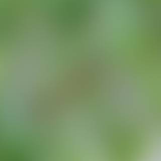 Clean green 4k wallpaper