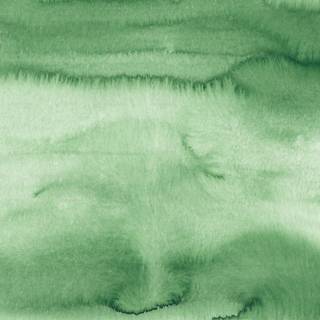 Clean green 4k wallpaper