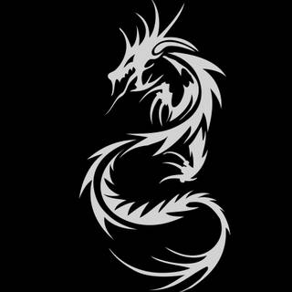 White dragon 4k wallpaper