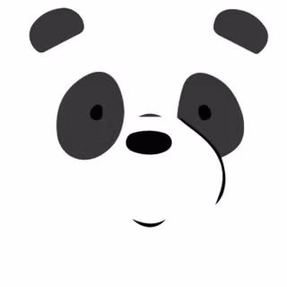 Bear 4k iPhone wallpaper