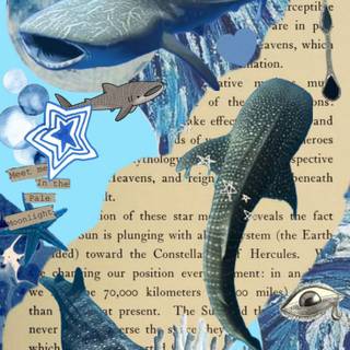 Whale shark iPhone wallpaper