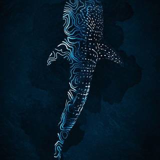Whale shark iPhone wallpaper