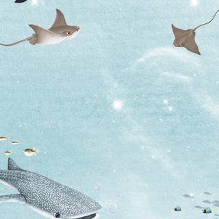 Whale shark iPhone wallpaper