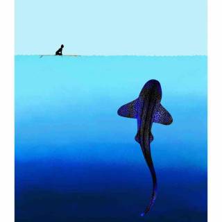 Whale shark iPhone wallpaper