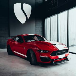 Shelby Mustang GT500 phone wallpaper
