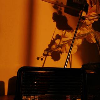 Radio iPhone wallpaper