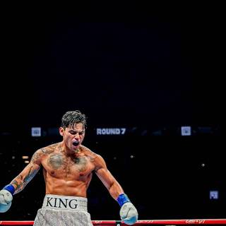 Boxer iPhone wallpaper