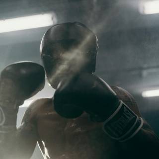 Boxer iPhone wallpaper