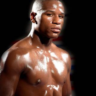 Boxer iPhone wallpaper