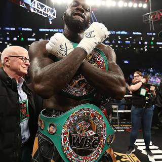 Boxer iPhone wallpaper