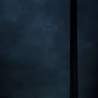 Fight phone wallpaper