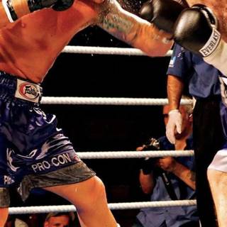 Boxer iPhone wallpaper