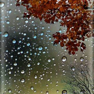 iPhone rain drop wallpaper