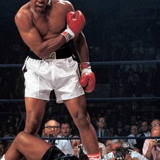 Boxer iPhone wallpaper