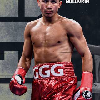 Boxer iPhone wallpaper