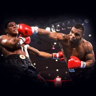 Boxer iPhone wallpaper