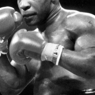 Boxer iPhone wallpaper