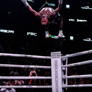 Boxer iPhone wallpaper