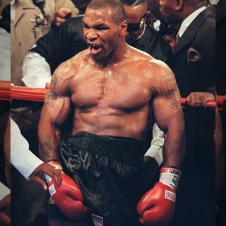 Boxer iPhone wallpaper