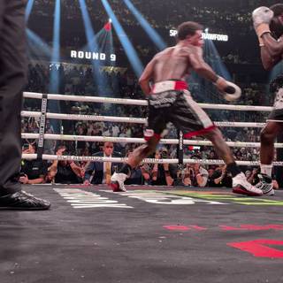 Boxer iPhone wallpaper