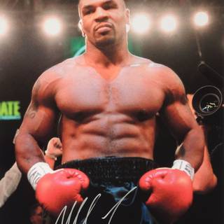 Boxer iPhone wallpaper