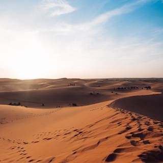 Sahara iPhone wallpaper